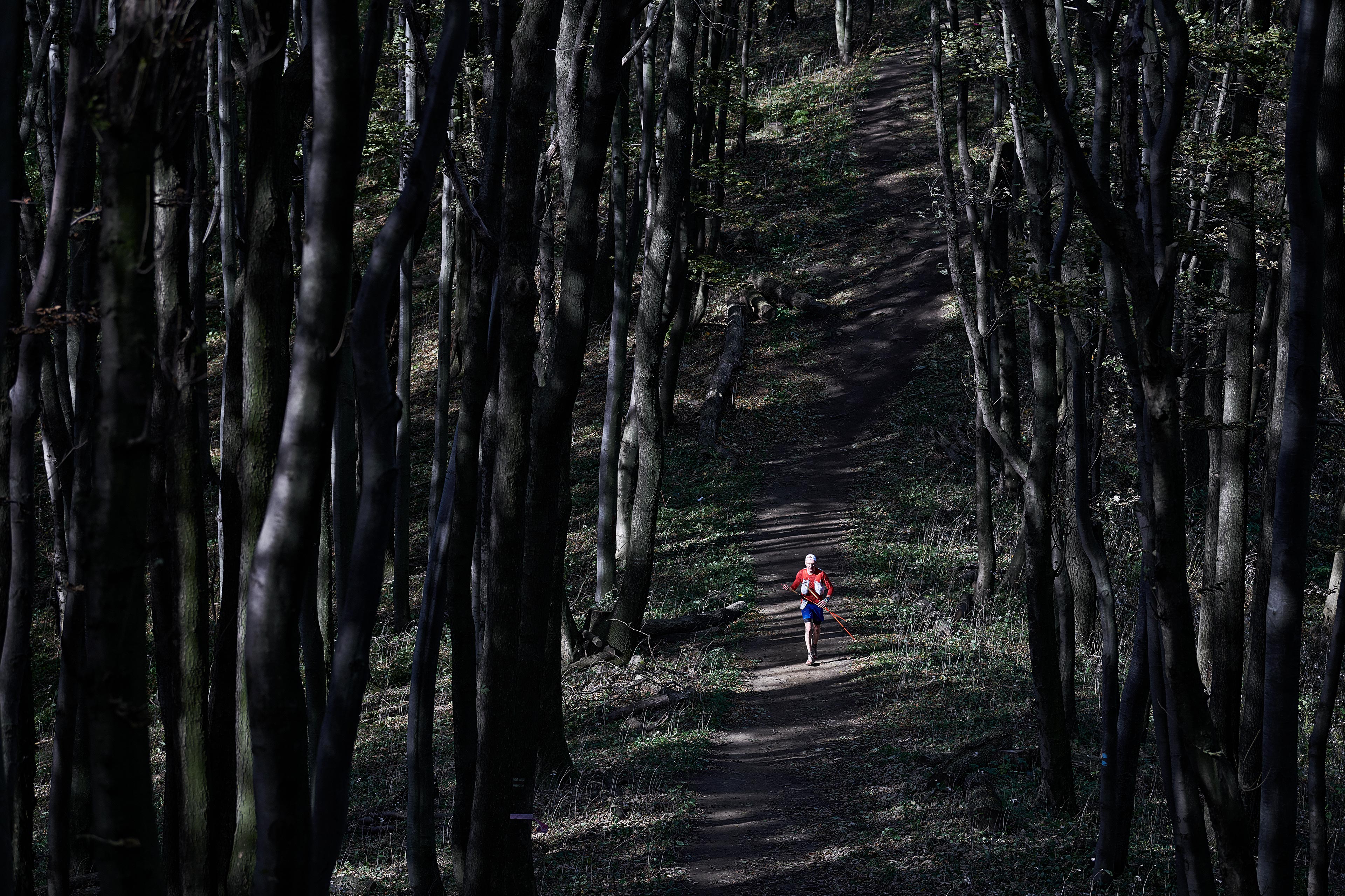 Łemkowyna Ultra Trail 2018 / Low Beskids, Poland